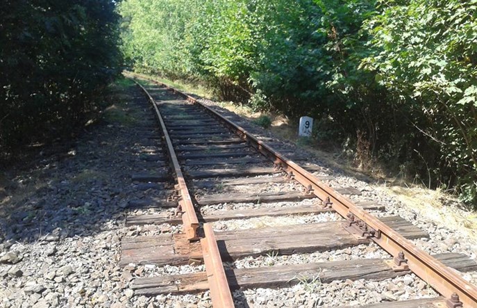 Linia do Lwówka Śląskiego jest już nieprzejezdna. Przez kradzieże