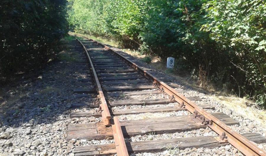 Linia do Lwówka Śląskiego jest już nieprzejezdna. Przez kradzieże Linia do Lwówka Śląskiego jest już nieprzejezdna. Przez kradzieże