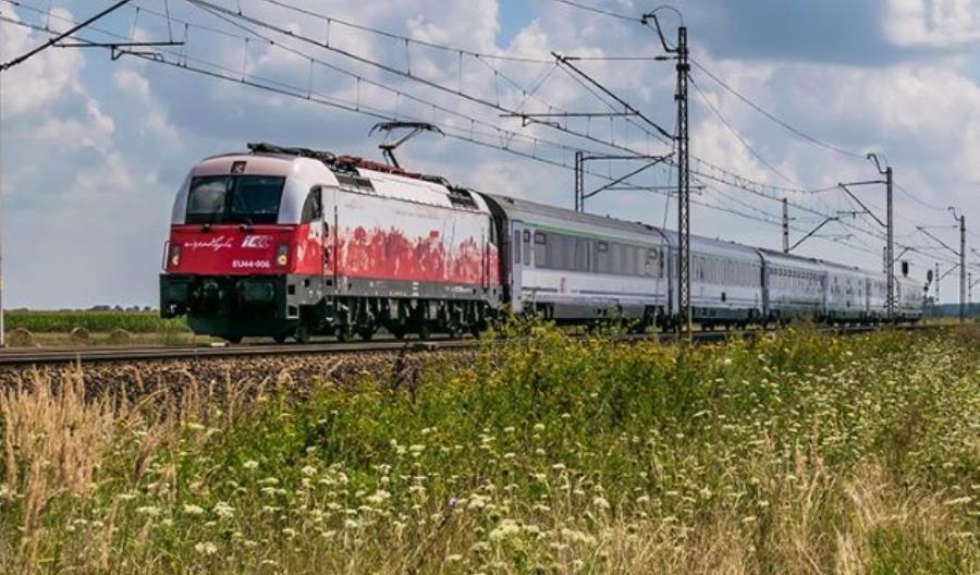 Rozkład – nie lada wyzwanie dla wszystkich (cz. 1) Rozkład – nie lada wyzwanie dla wszystkich (cz. 1)
