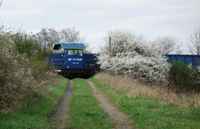 PKP Cargo z długoletnimi umowami na przewóz węgla dla Grupy PGE