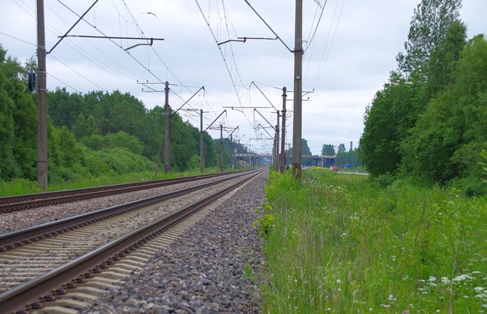 Rail Baltica z nowym szefem. Spółkę RB Rail poprowadzi Fin