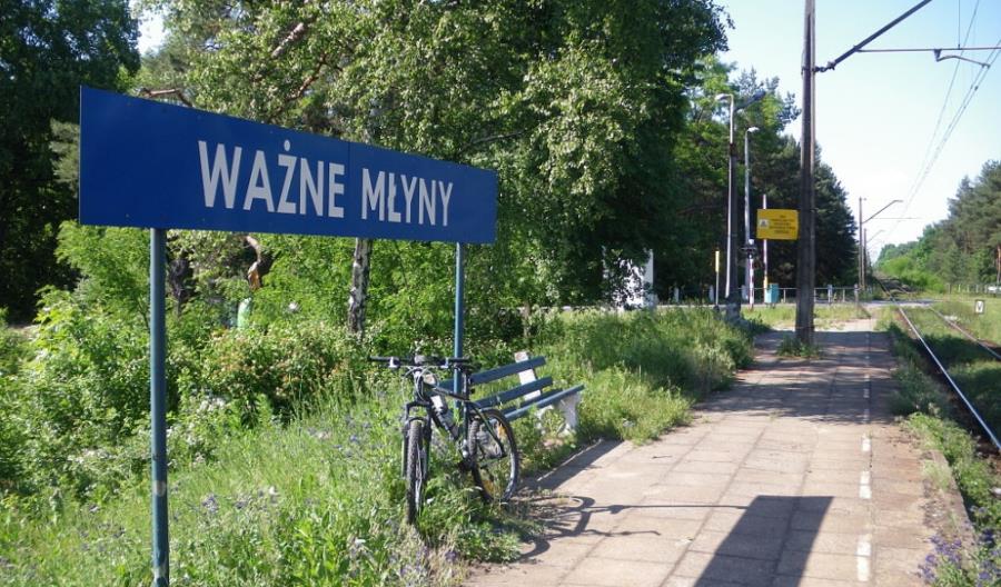 Przewozy na „Węglówce” i linii 146 będą dopiero rozważane Przewozy na „Węglówce” i linii 146 będą dopiero rozważane