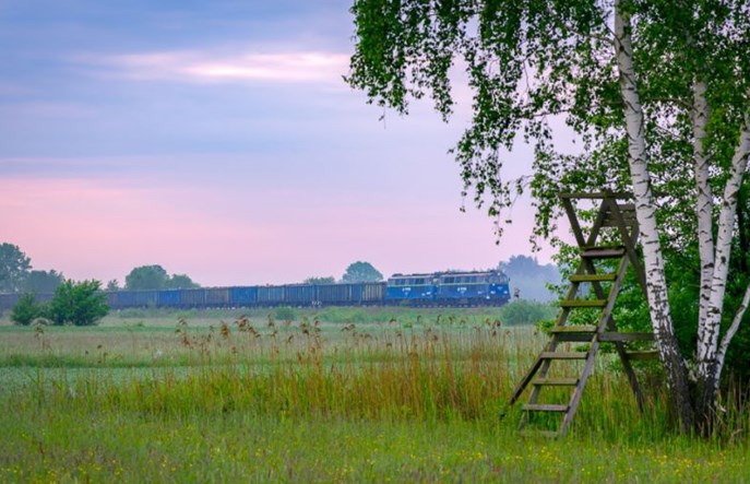 Stawki PLK bez zmian na kolejny rozkład jazdy
