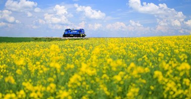 Co znajdziemy w raporcie zintegrowanym PKP Cargo? [analiza]