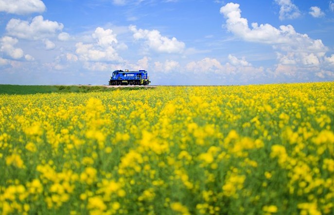 Co znajdziemy w raporcie zintegrowanym PKP Cargo? [analiza]