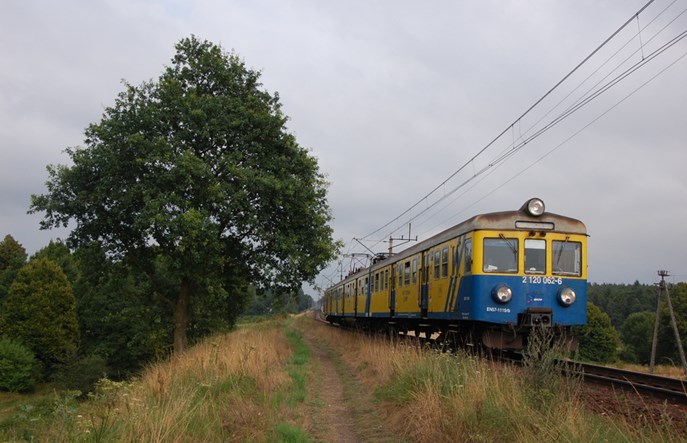Czy pomorski samorząd podpisze wieloletnią umowę z PKP SKM Trójmiasto?