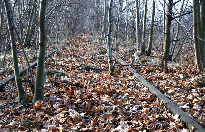 Dolny Śląsk zleca studia dla odbudowy linii do Świeradowa, Karpacza i Kowar [oferty]