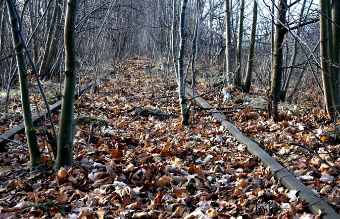 Marszałek Dolnego Śląska przejmie linię kolejową 335
