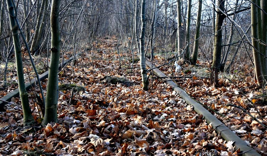Marszałek Dolnego Śląska przejmie linię kolejową 335 Marszałek Dolnego Śląska przejmie linię kolejową 335