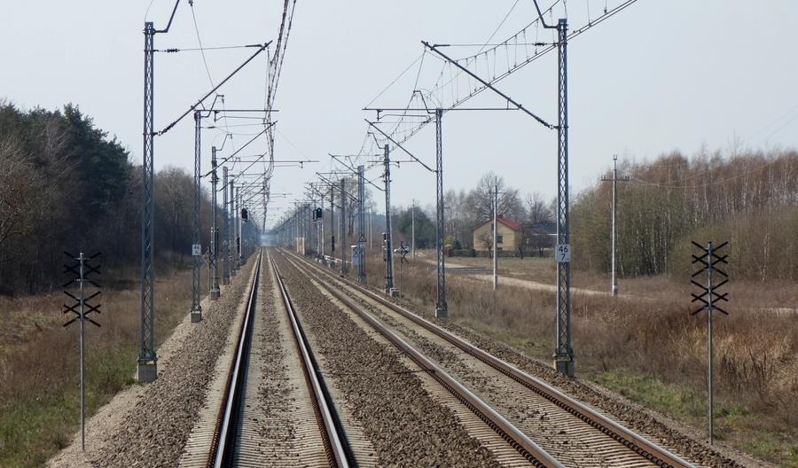 ETO: Przewozy na Rail Baltica będą mniejsze, niż zakładano ETO: Przewozy na Rail Baltica będą mniejsze, niż zakładano
