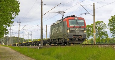 PKP Cargo: Spadek udziałów w rynku, brak dywidendy i zmiany w statucie