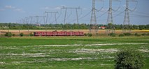 Akademia Koźmińskiego: Podróżni chcą tańszych biletów i częstszych kursów