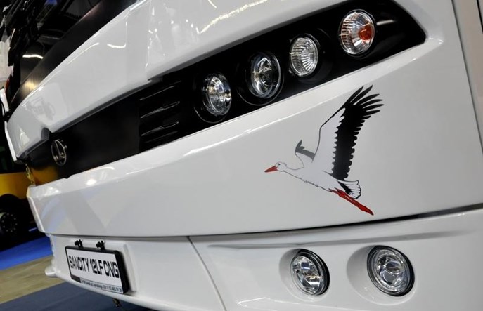 Dębica z jedną oferta na autobusy