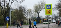 Kierowcy nie przepuszczają pieszych, choć uważają, że warto