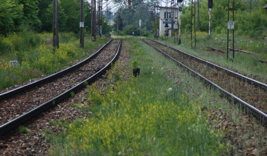 IGTL zadowolone z decyzji o przedłużeniu programu rozjazdowego IGTL zadowolone z decyzji o przedłużeniu programu rozjazdowego