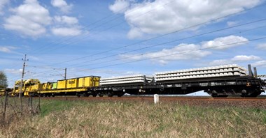 Wszystkie oferty na linię 281 poza kosztorysem. Torpol najlepszy