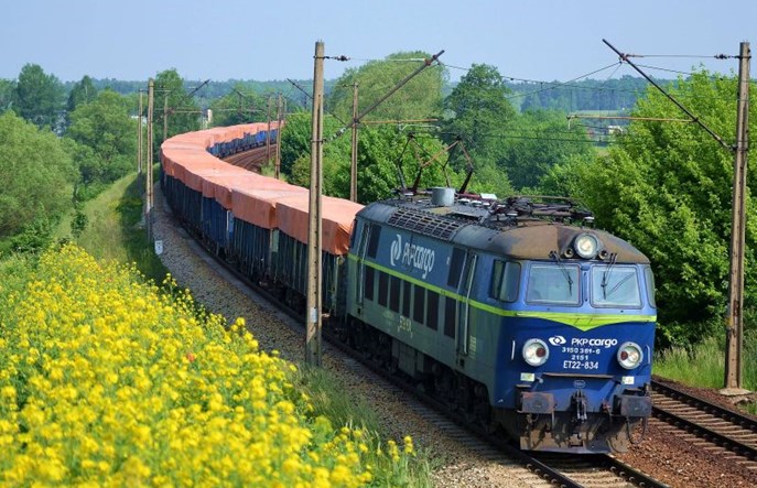 Kogut i Czarnota pozwali PKP Cargo