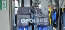 Opolskie kupuje pociągi! Jest przetarg