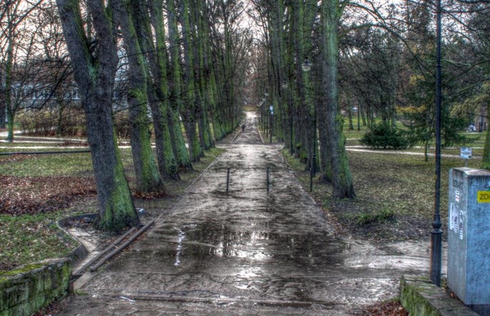 Nowa Politechniczna – a może tramwajem przez cmentarz?