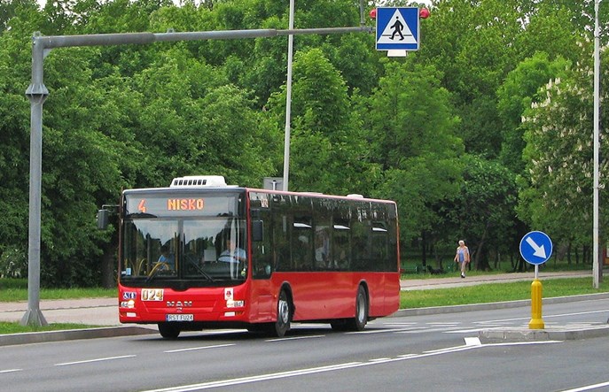 Stalowa Wola myśli o darmowej komunikacji i elektrykach
