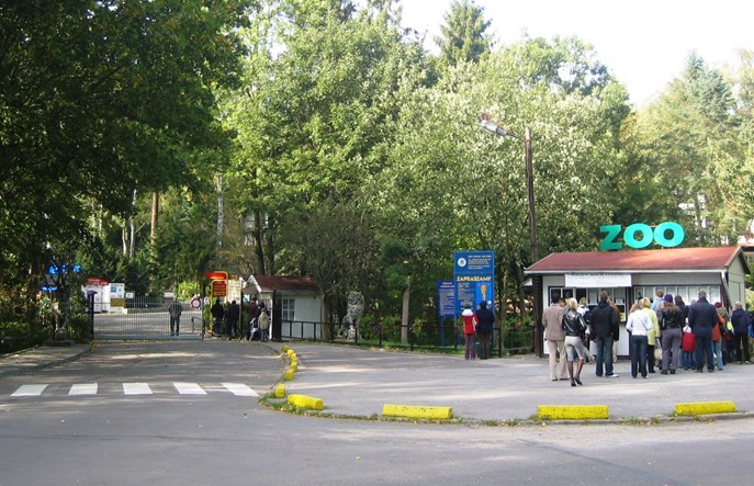 Tramwajem do zoo. Oliwa nowym salonem Gdańska?