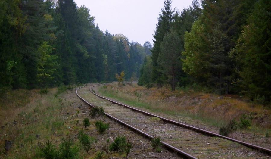 Torpol z kontraktem za 100 mln zł na Podlasiu Torpol z kontraktem za 100 mln zł na Podlasiu