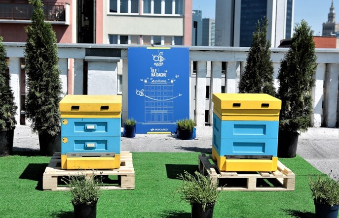 Pracowite pszczoły na dachu siedziby PKP Cargo