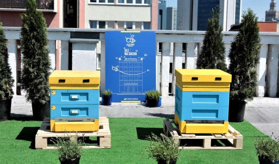 Pracowite pszczoły na dachu siedziby PKP Cargo