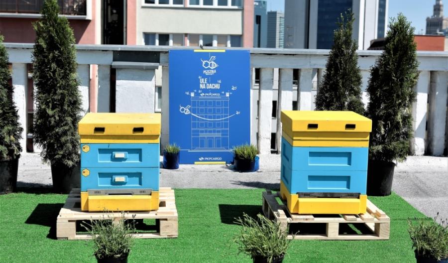 Pracowite pszczoły na dachu siedziby PKP Cargo Pracowite pszczoły na dachu siedziby PKP Cargo