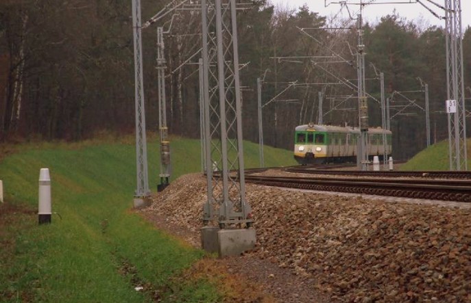 Bagatelizowany problem zwierząt na torach