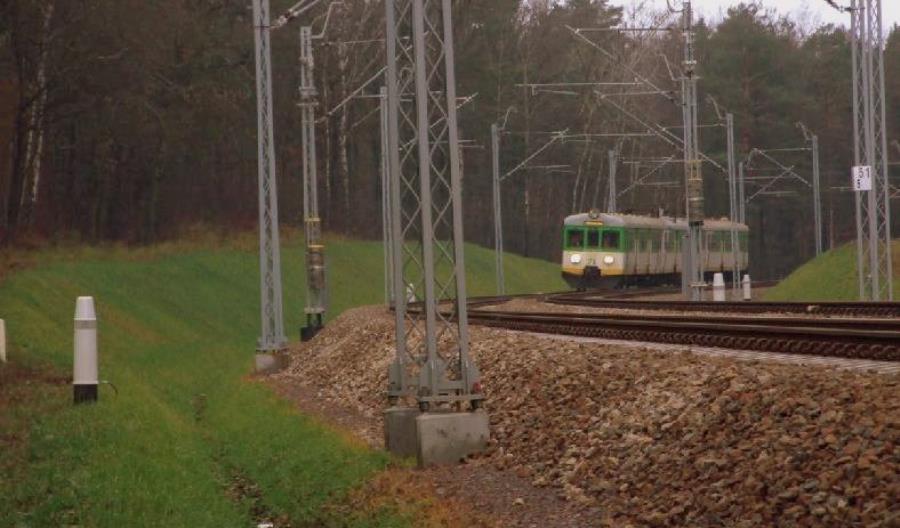 Bagatelizowany problem zwierząt na torach Bagatelizowany problem zwierząt na torach