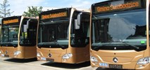 Świebodzice z nowym autobusem od EvoBusa?