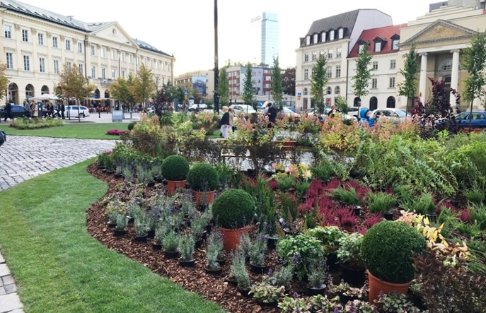 Warszawa. Zielone place, a pod nimi parkingi? Taki jest plan ratusza