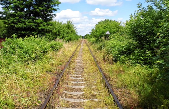 Burmistrz Dąbrowy Tarnowskiej pyta mieszkańców o likwidację linii do Szczucina