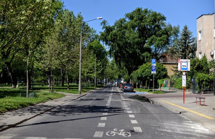 Warszawa zazieleni ulice. 18 tys. drzew miejskich i kolejne... z aplikacji