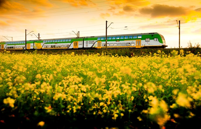 Udany eksperyment mazowiecki