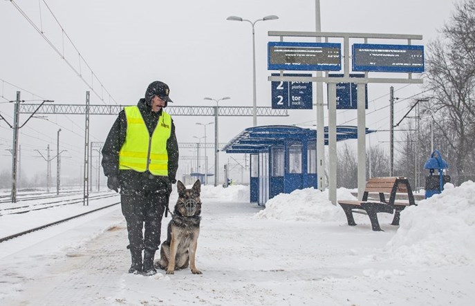 Więcej patroli SOK podczas ferii zimowych