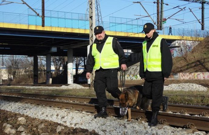 SOK zrobił w tym roku 85 tys. patroli
