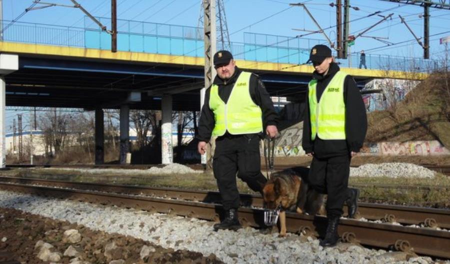 SOK zrobił w tym roku 85 tys. patroli SOK zrobił w tym roku 85 tys. patroli