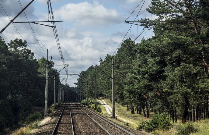 PLK zamontowały już ponad tysiąc dźwiękowych urządzeń ochrony zwierząt