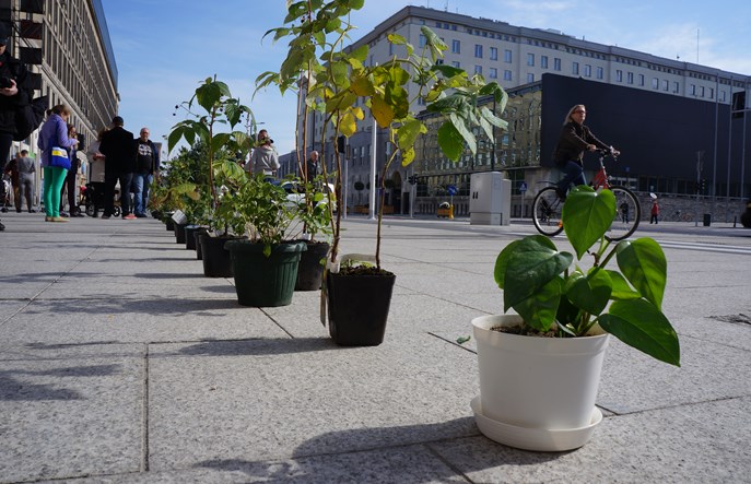 Warszawa. Świętokrzyska w betonie. Gdzie miejsce na zieleń?