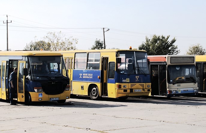 Pabianickie bilety na łódzkim nośniku