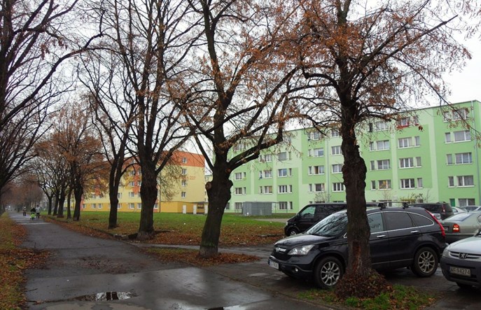 Gdańsk porządkuje parkowanie. Więcej stref, elektryki za darmo