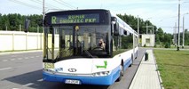 ZKM Gdynia szuka przewoźnika dla czterech linii autobusowych