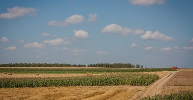 Podział statystyczny Mazowsza już pewny