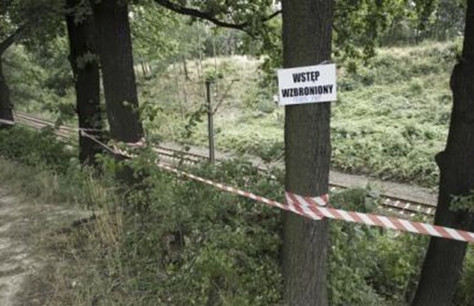 65. kilometr trasy Wrocław – Wałbrzych. Ciężki sprzęt na tropie złotego pociągu