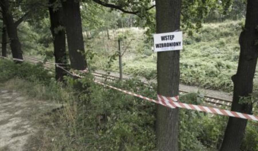 65. kilometr trasy Wrocław – Wałbrzych. Ciężki sprzęt na tropie złotego pociągu 65. kilometr trasy Wrocław – Wałbrzych. Ciężki sprzęt na tropie złotego pociągu