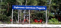 Koleje Śląskie i PLK przywróciły przystanek nad jeziorem w Dąbrowie Górniczej