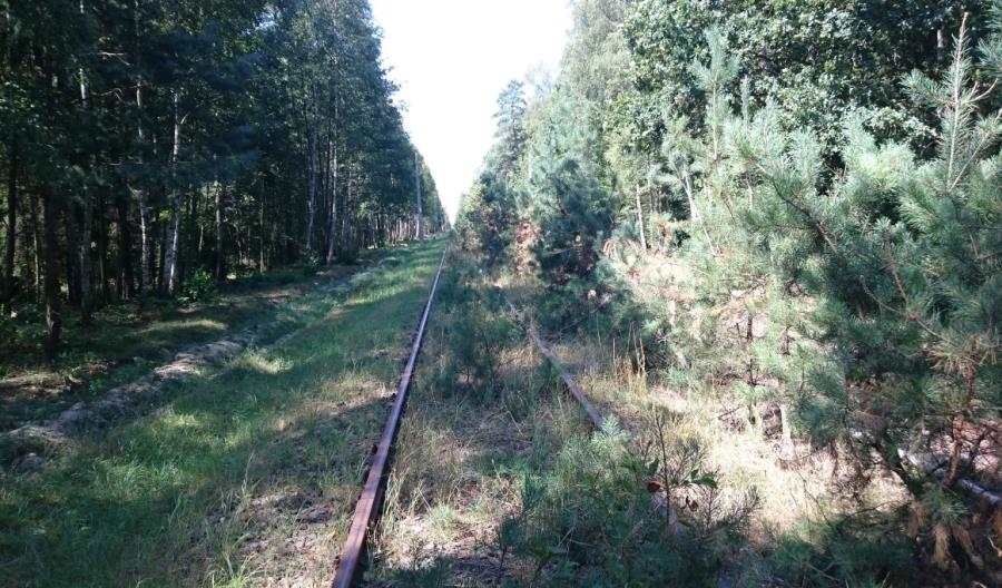 UTK: Drzewa na torze kolejowym na linii Tarnowskie Góry – Opole Główne