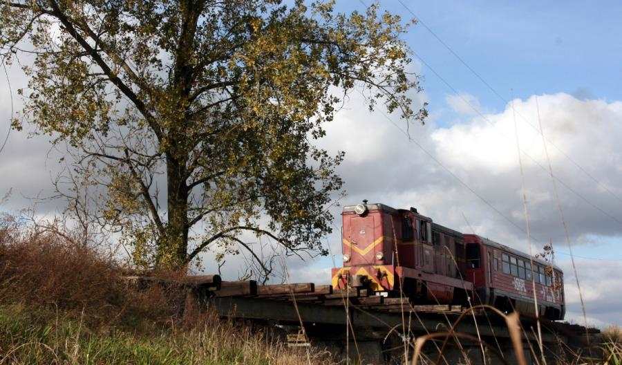 SKPL: Pociągi pasażerskie nie tylko w Pleszewie